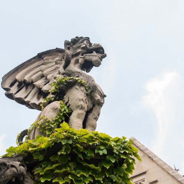 A gargoyle on UChicago campus