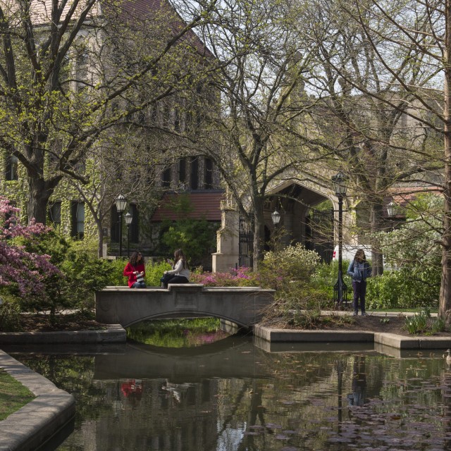 Pond at UChicago Campus